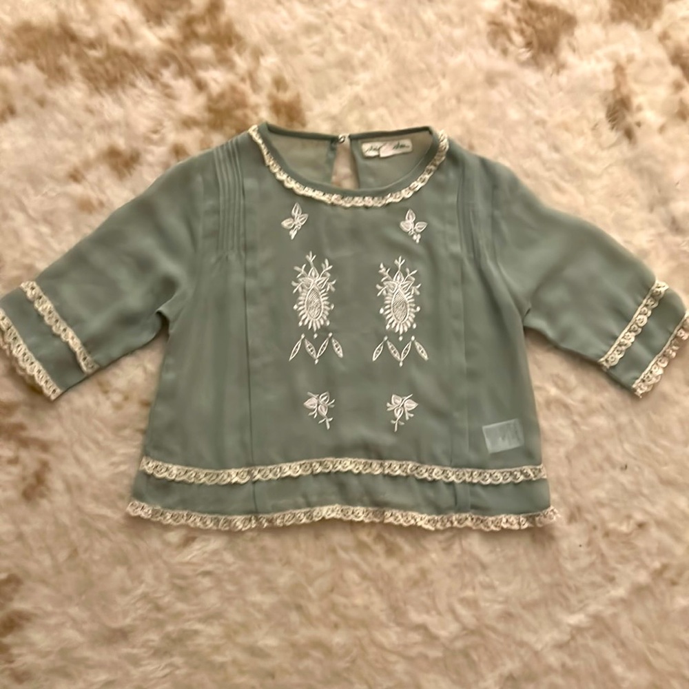 Vintage Embroidered Cropped Sheer Top